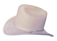 Kid's Buck Wool Felt Western Cowboy Hat by Rockmount Ranch Wear in vintage light beige wool felt