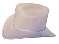 Kid's Buck Wool Felt Western Cowboy Hat by Rockmount Ranch Wear in light purple felt with 4 inch crown