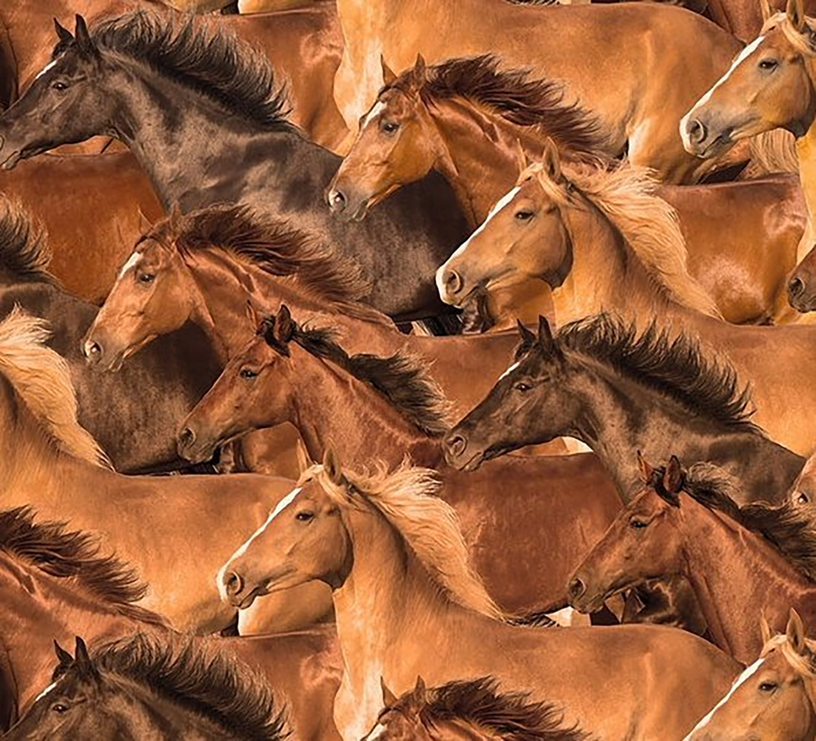 Horse Herd Western Cotton Bandana in Brown by Rockmount Ranch Wear with vintage western wear print