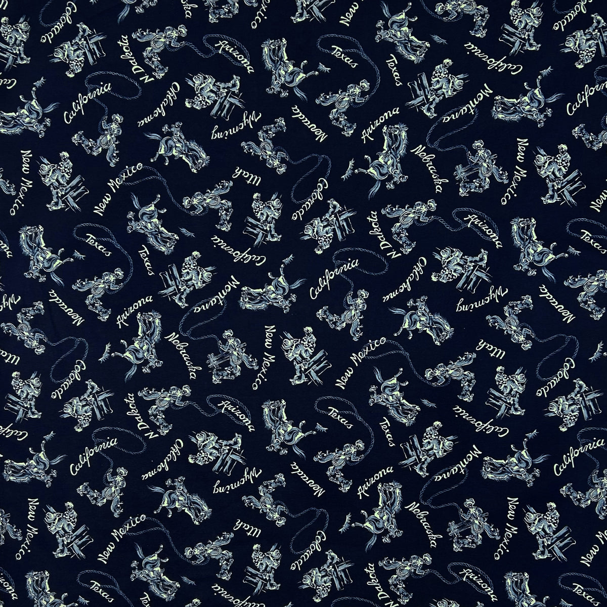 Cowboys and States Navy Western Cotton Bandana by Rockmount Ranch Wear, vintage western wear with fringe
