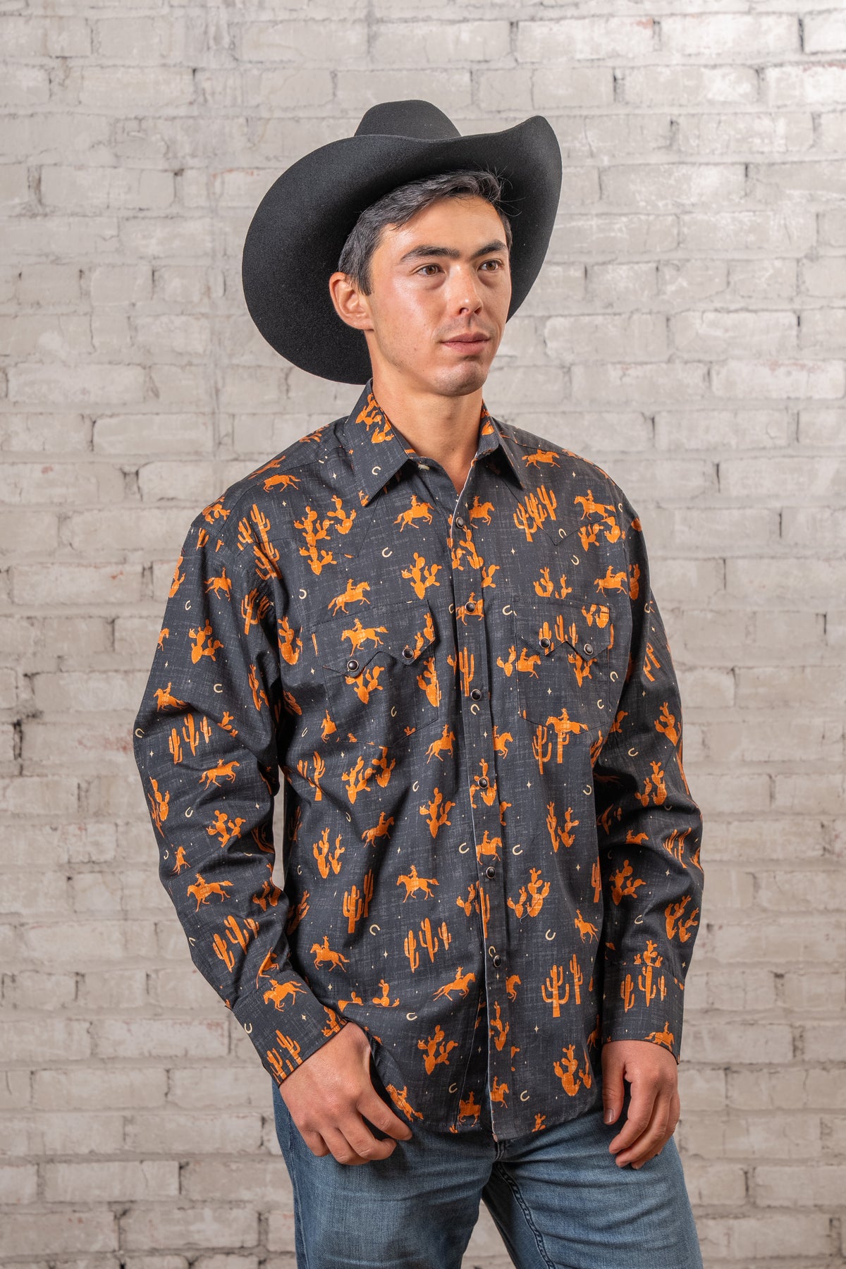 Men's Black Print Western Shirt by Rockmount Ranch Wear, vintage western shirt with cactus print and snap buttons