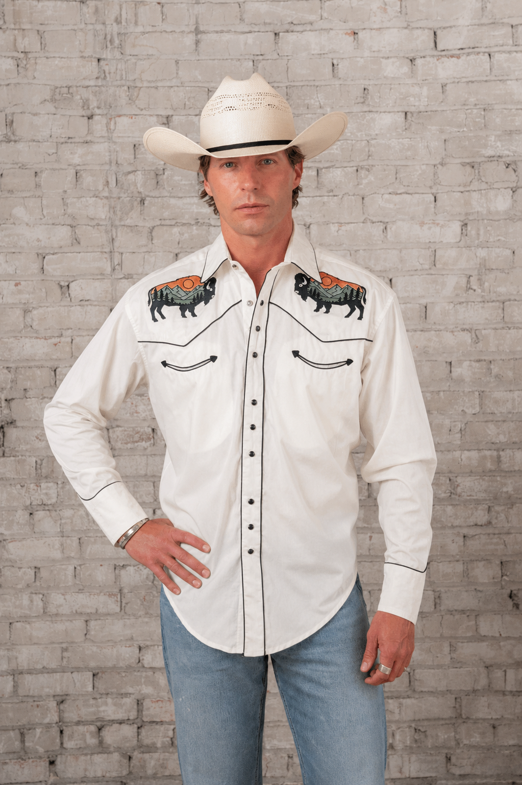 Men's Ivory Bison Mountain Embroidered Western Shirt by Rockmount Ranch Wear, vintage western shirt with rich embroidery
