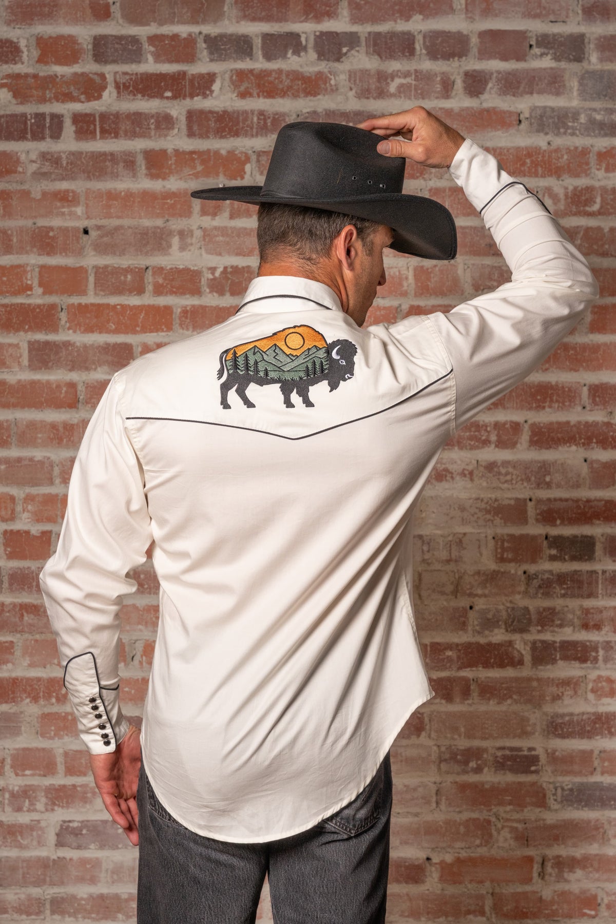Men's Ivory Bison and Mountain Embroidered Western Shirt by Rockmount Ranch Wear, vintage floral embroidery