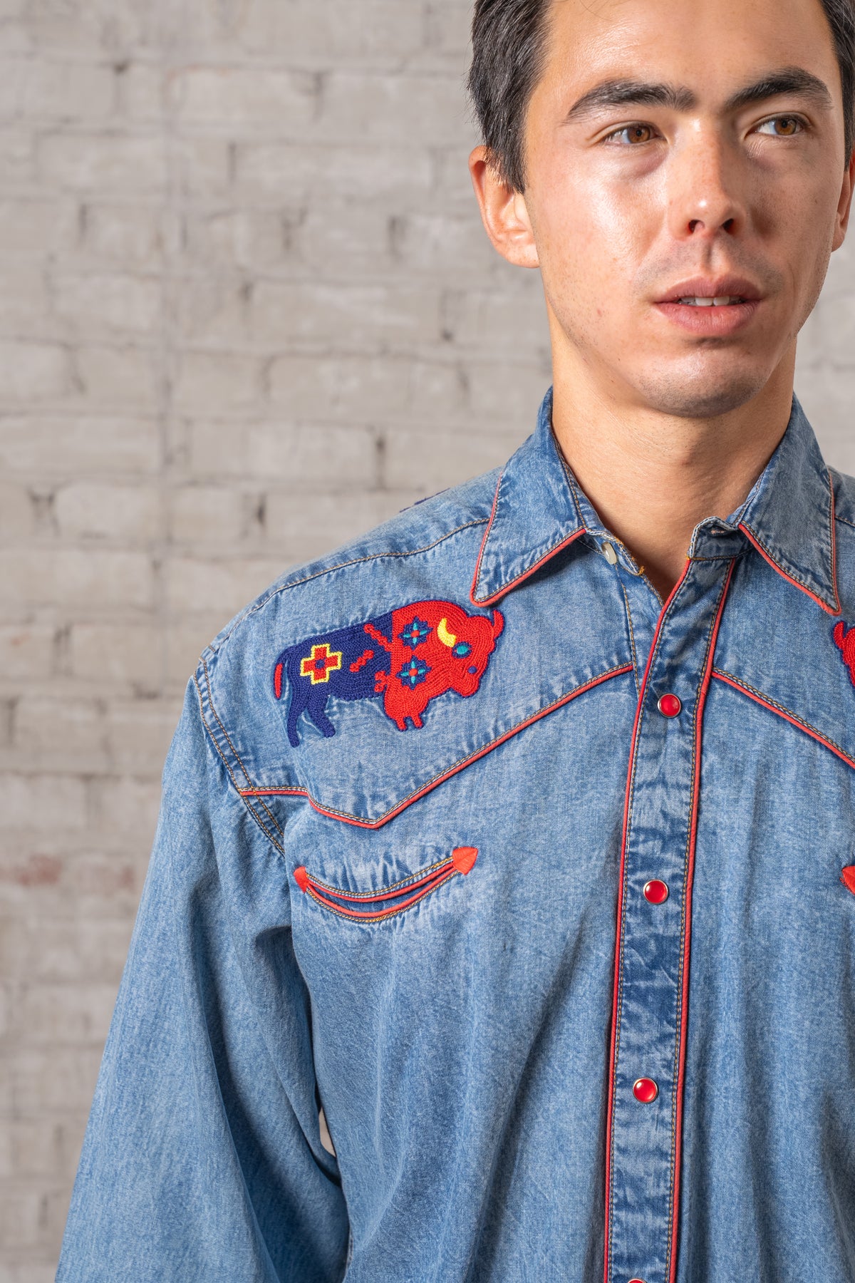 Men's American Bison Denim Embroidered Western Shirt by Rockmount Ranch Wear in vintage denim with chenille cactus