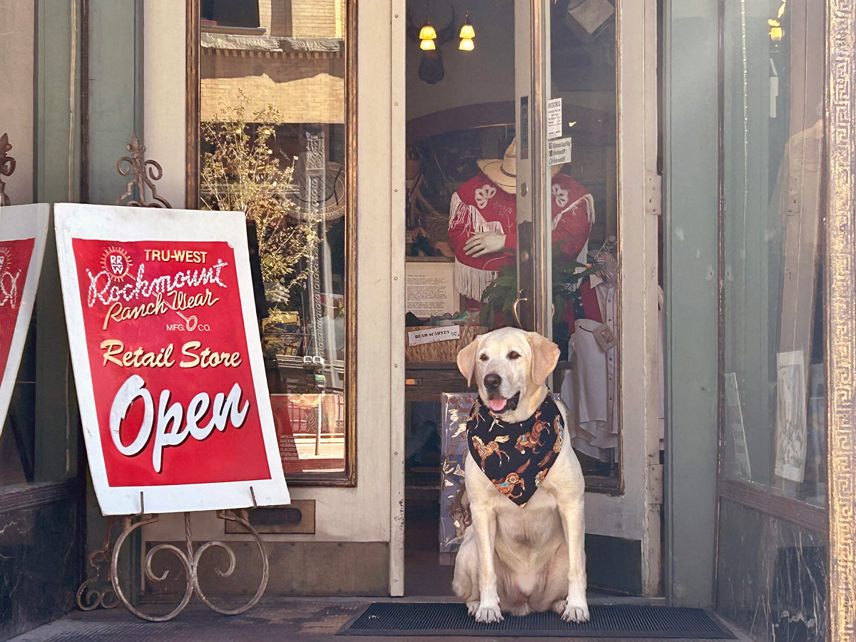 Vintage western store window display with a dog in front and a red sign reading Open Retail Store